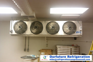 Блоки рефрижерации для конфигурации холодных комнат опционной приемлемой